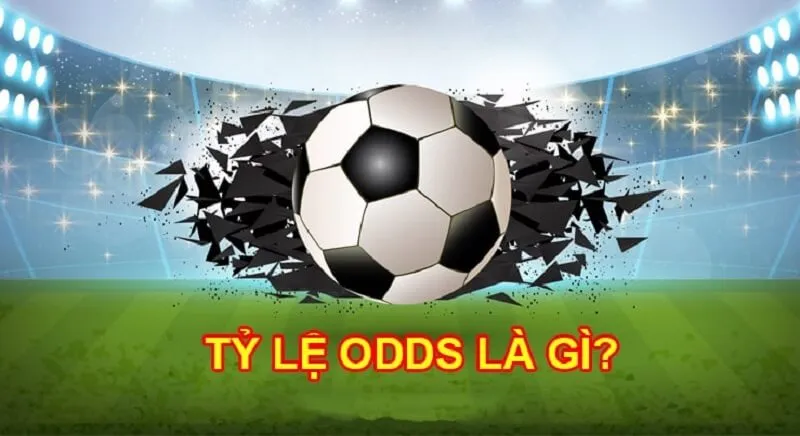 Odds là gì? Bạn có biết đây là khái niệm gì hay không?