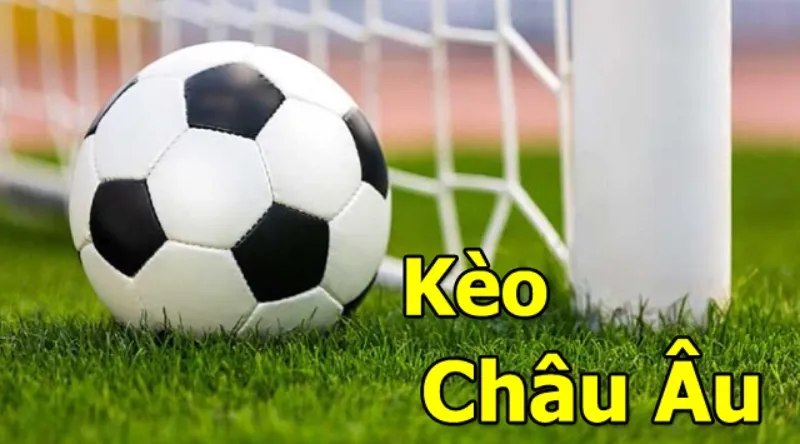 Tỷ lệ Odds châu Âu hấp dẫn
