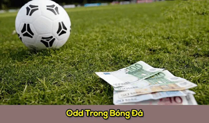 Một số kinh nghiệm cần chú ý khi lựa chọn tỷ lệ odds trong bóng đá