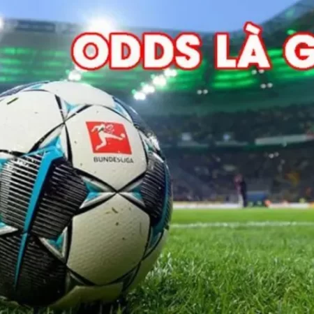 Odds là gì? Tất tần tật các thông tin về odds 