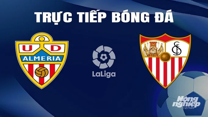 ví dụ cược 12